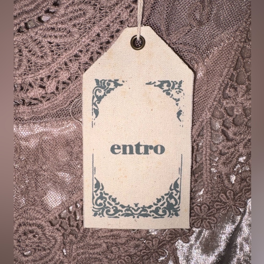Entro Velvet Lace Mini Dress Taupe Boho Romantic Sleeveless NWT Size M - Picture 3 of 8